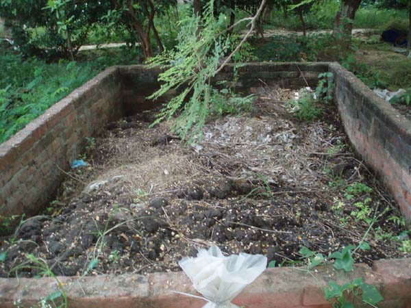 organicmanure-1.jpg