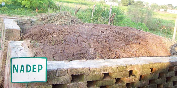 organicmanure.jpg